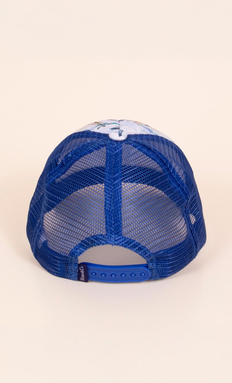 CAP-HAWAI