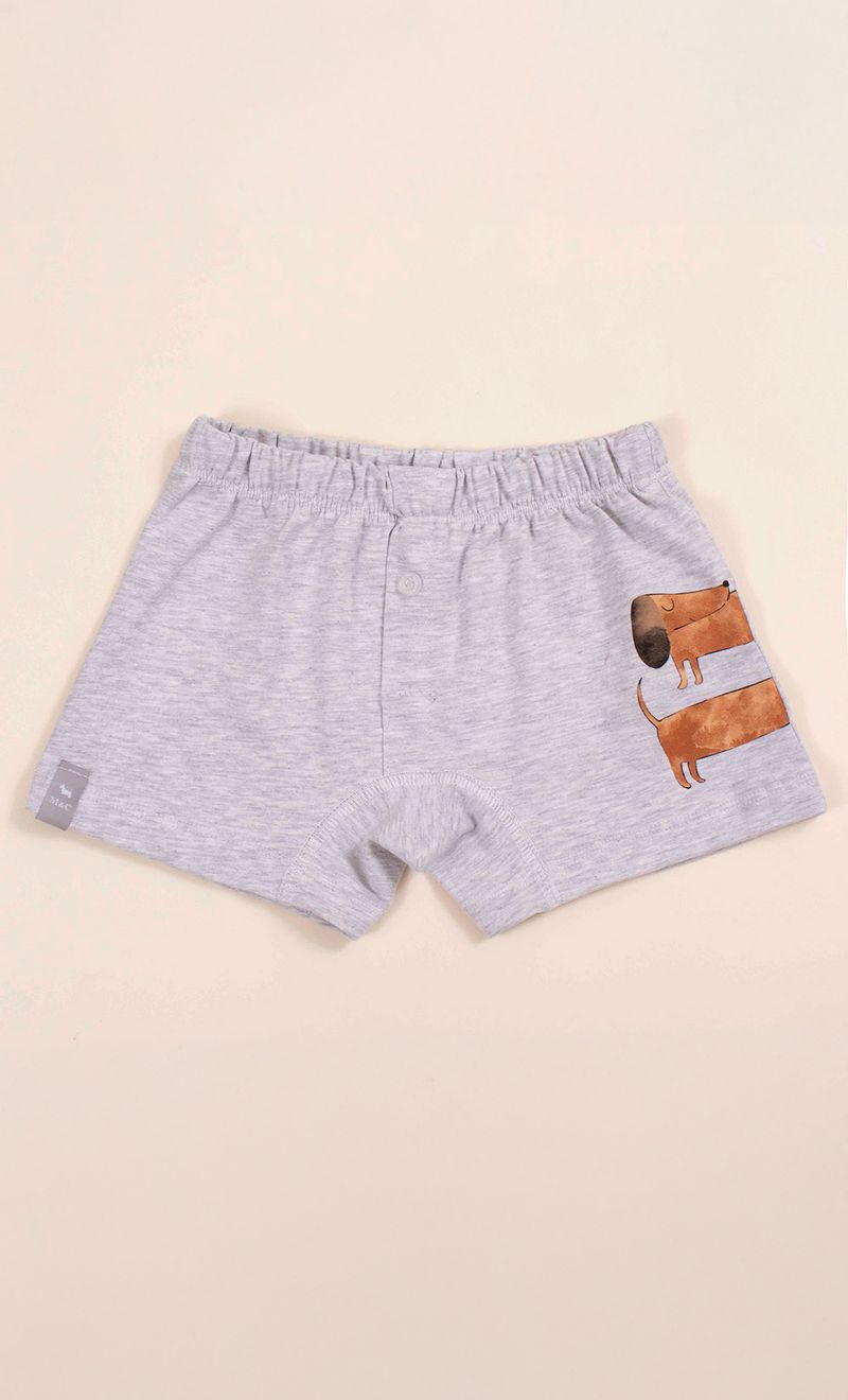 BOXER-DOG