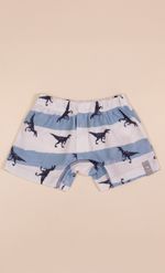 BOXER-DINOS