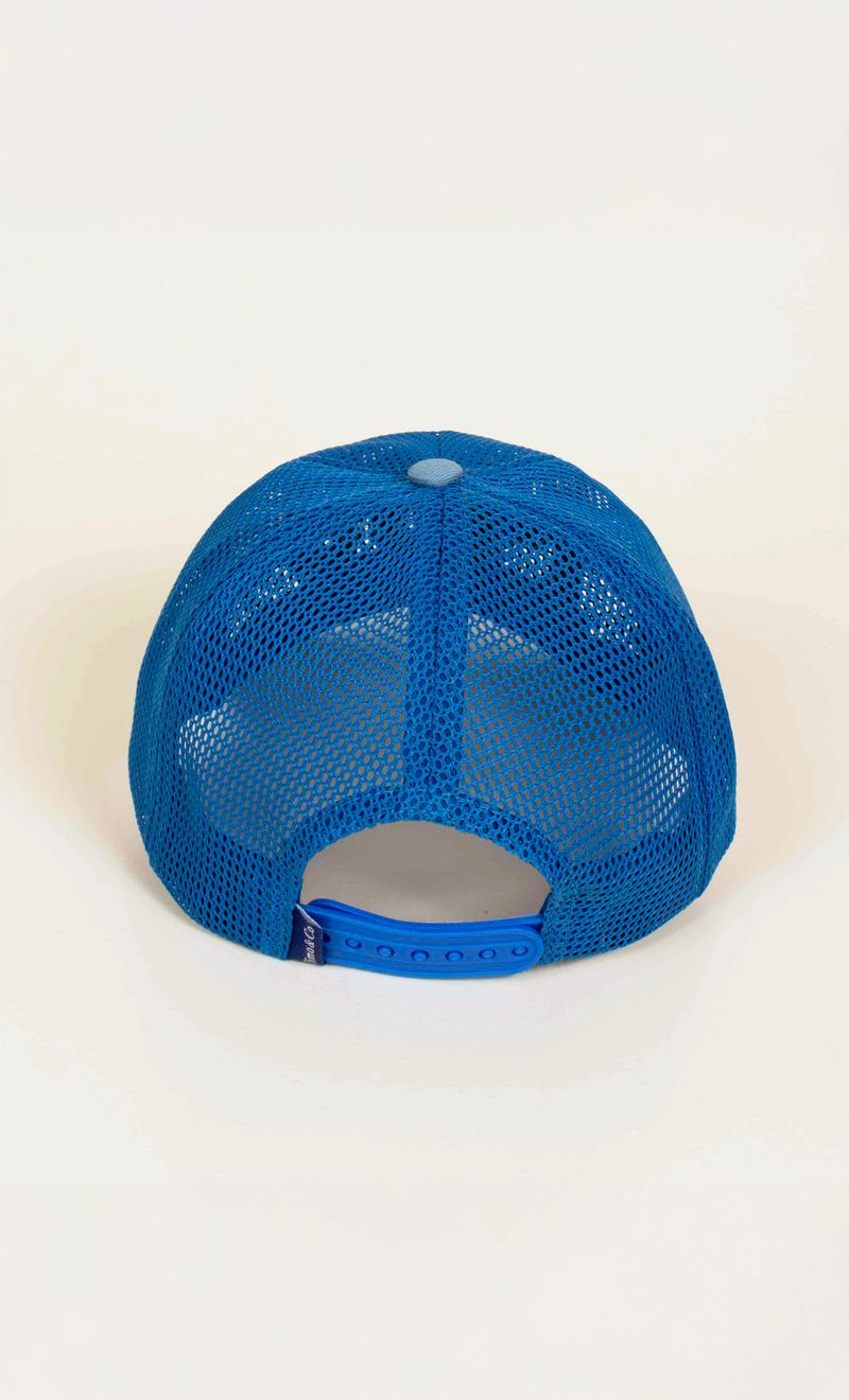 CAP-M65