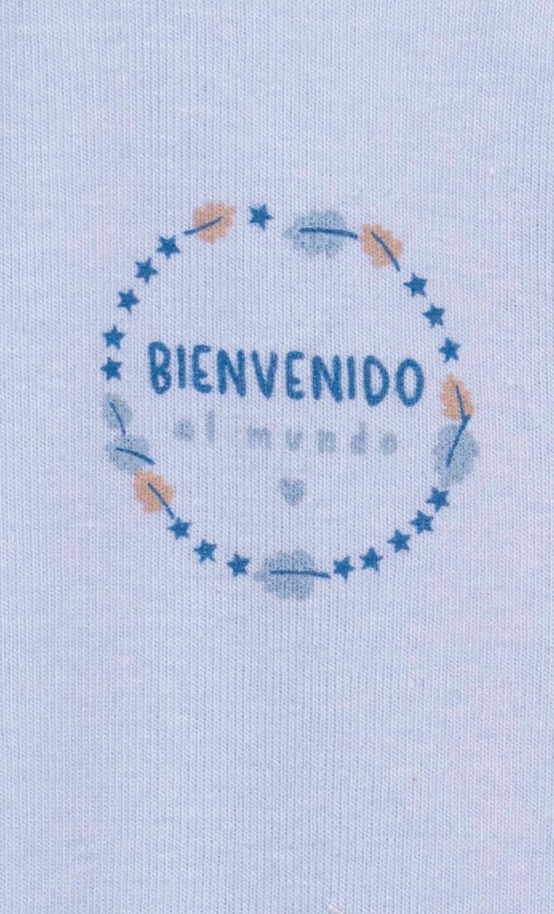 BODY-MINI-BIENVENIDO