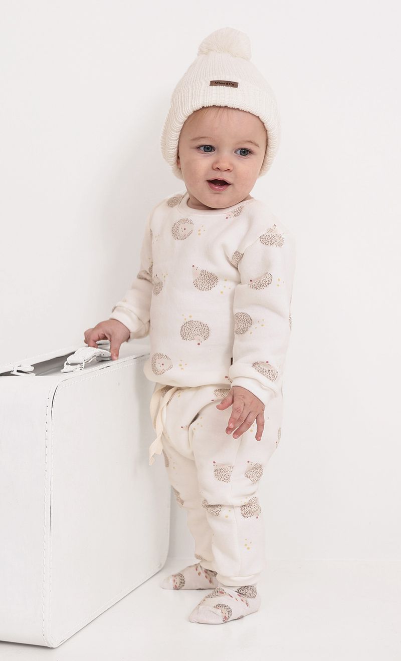 CONJUNTO-MINI-ERIZO