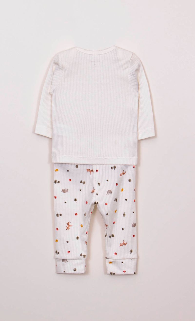 CONJUNTO-MINI-FOREST