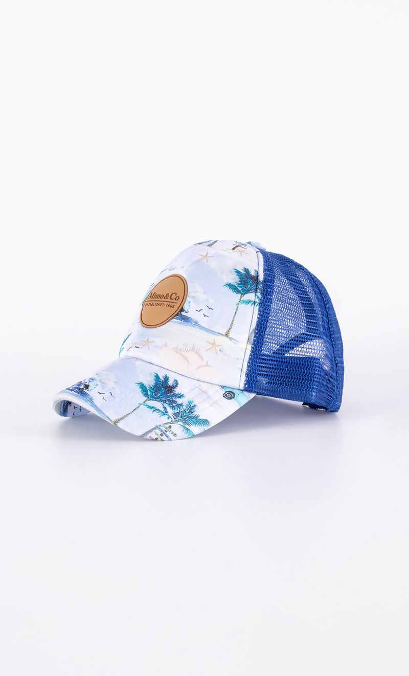 Mimo_V25Q270419_19_3