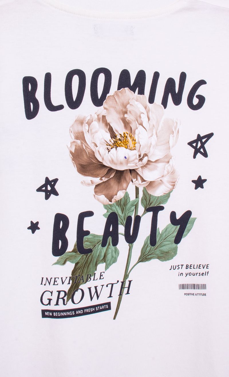 Mimo_V26J29242C_2C_5