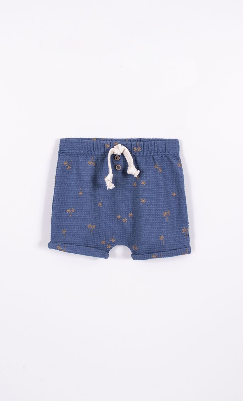 Mimo_V26M290213_13_5