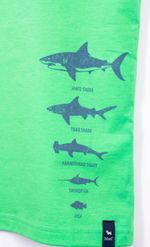 Mimo_V26J0205LC_LC_3