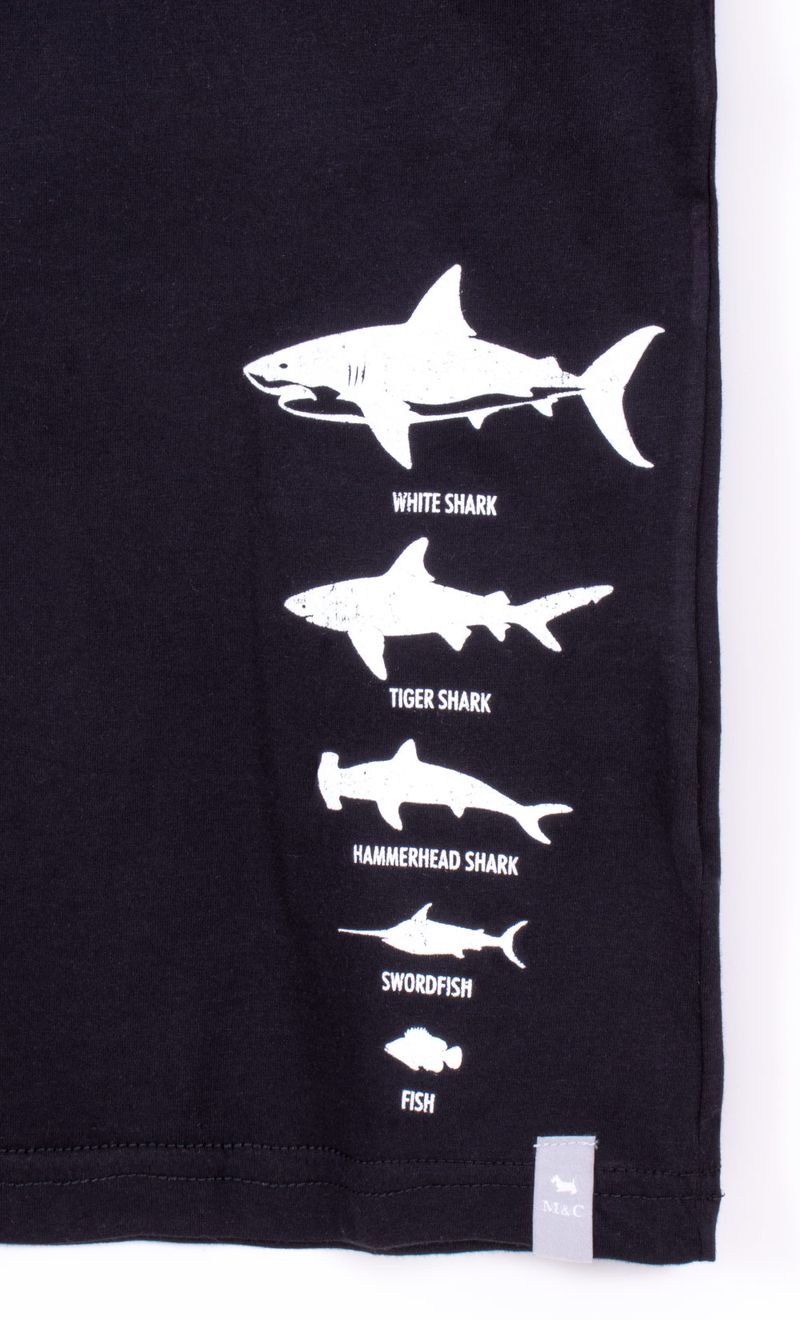 Mimo_V26J020541_41_2