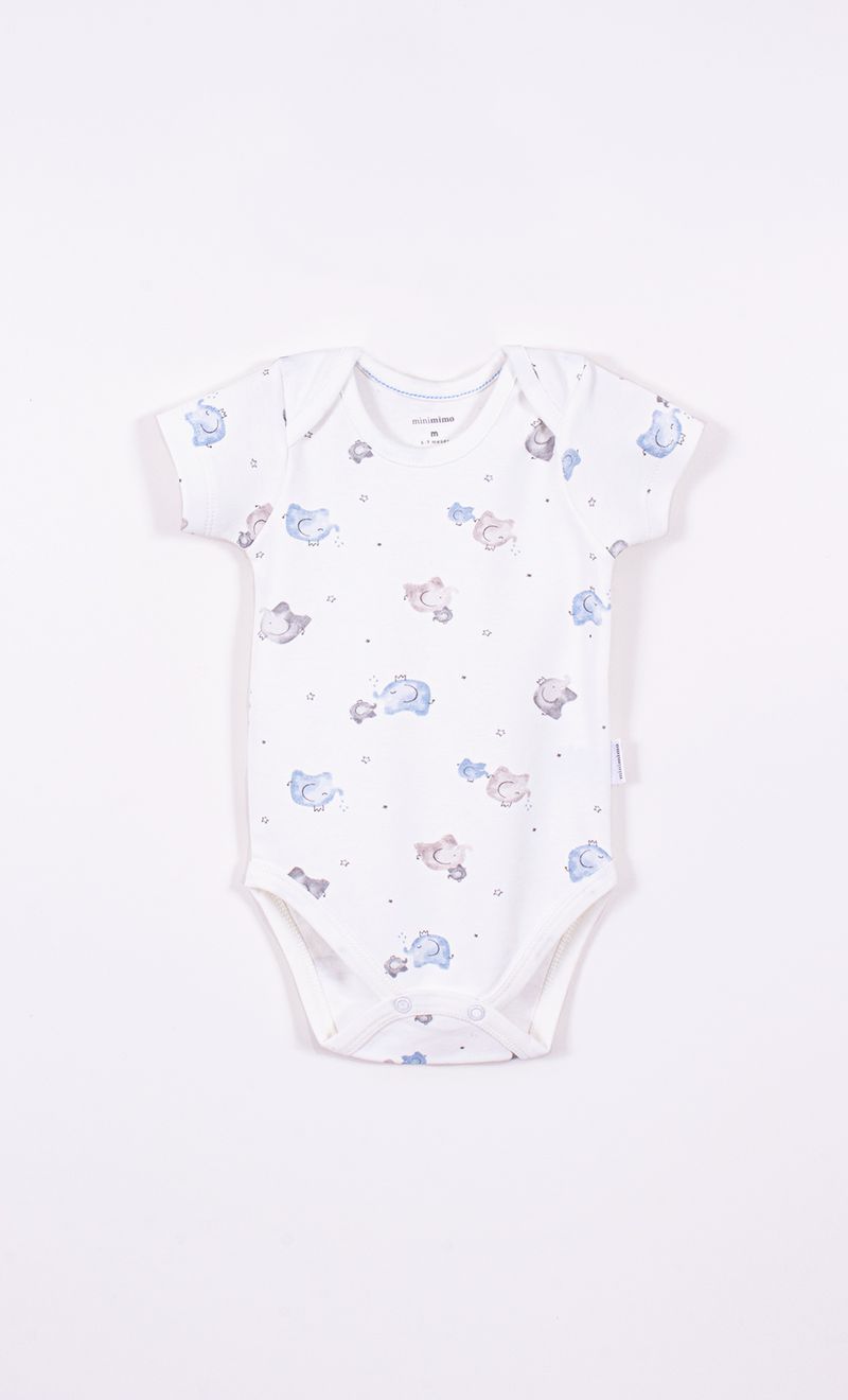 Mimo_V26M231312_12_4