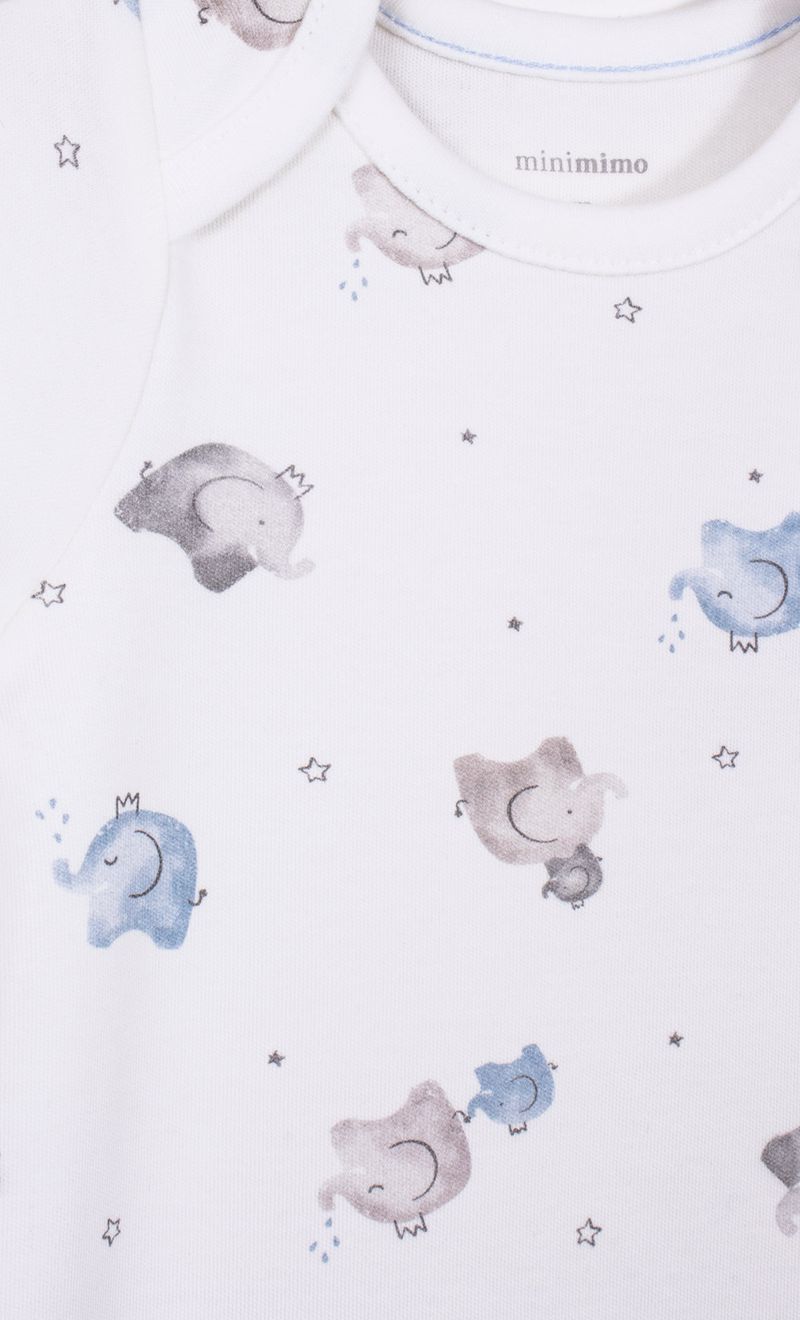 Mimo_V26M260212_12_3