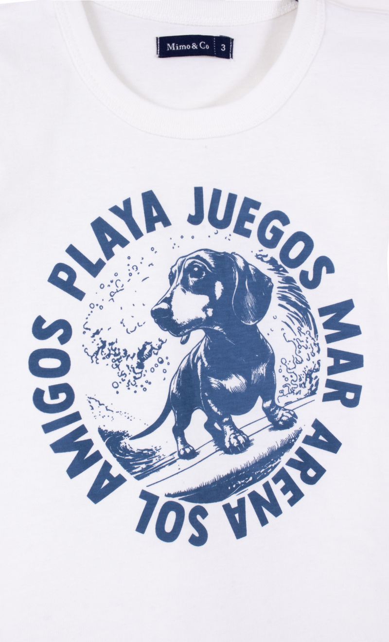 Mimo_V26B03062C_2C_2