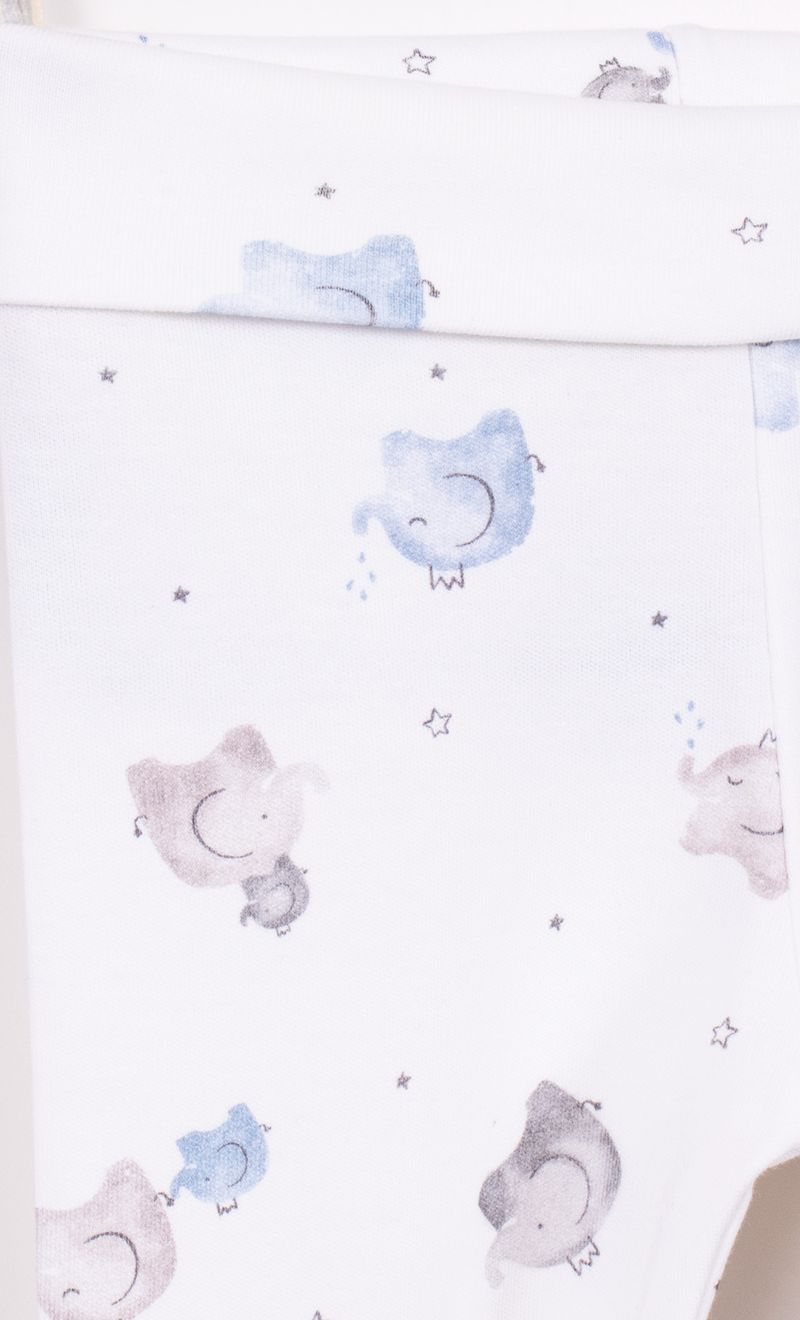 Mimo_V26M210212_12_3