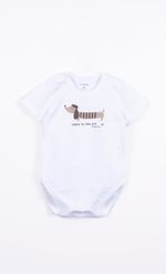 Mimo_V26M238101_01_1