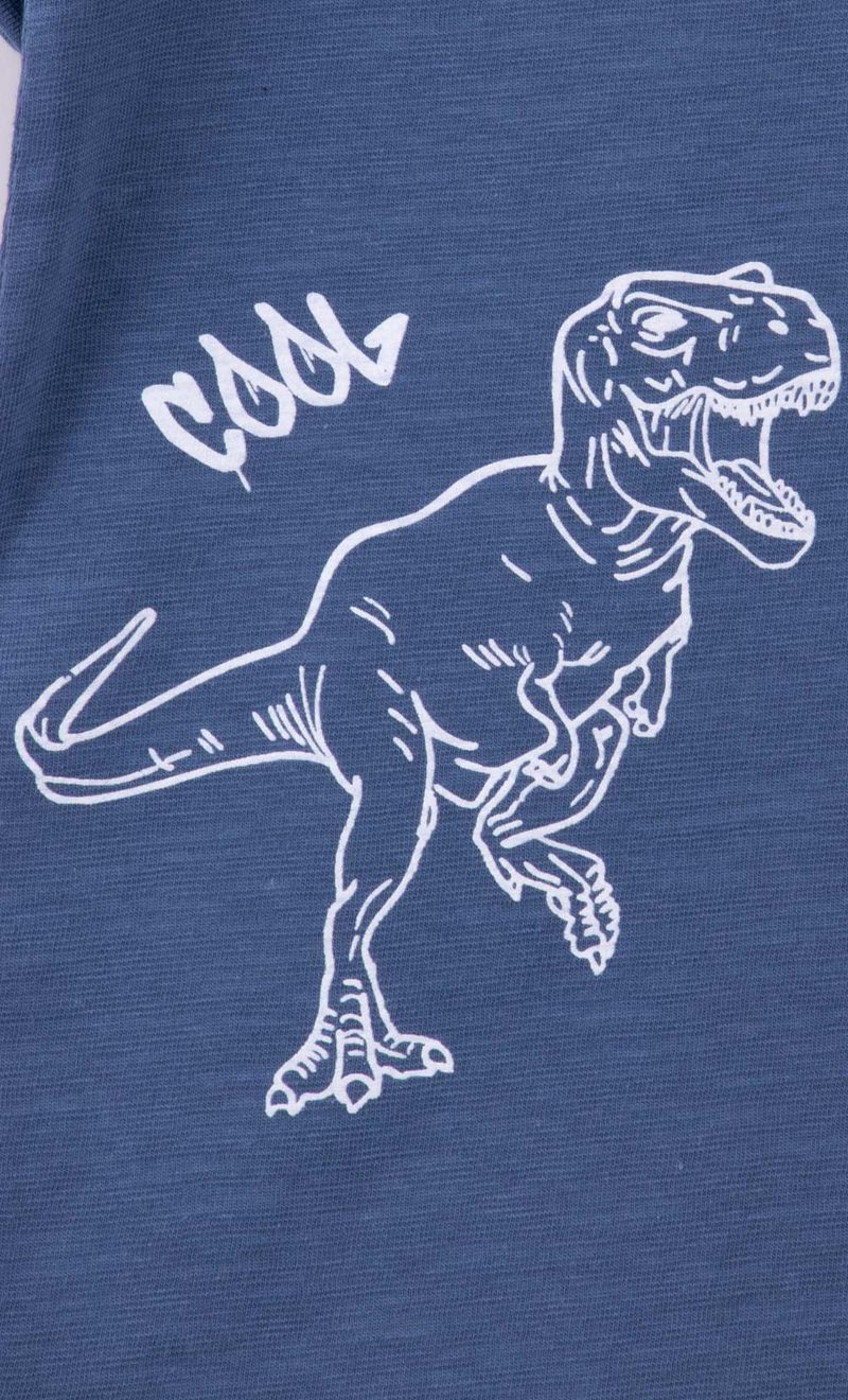 REMERA-KID-FULL-DINO