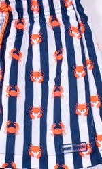 TRAJE-DE-BANO-JR-RAYADO