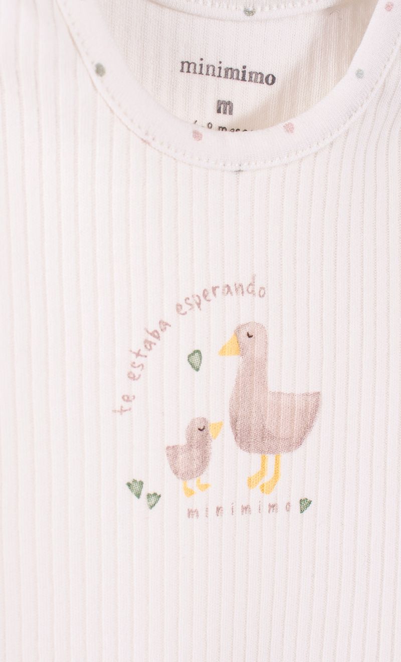 Mimo_I26M88022C_2C_3