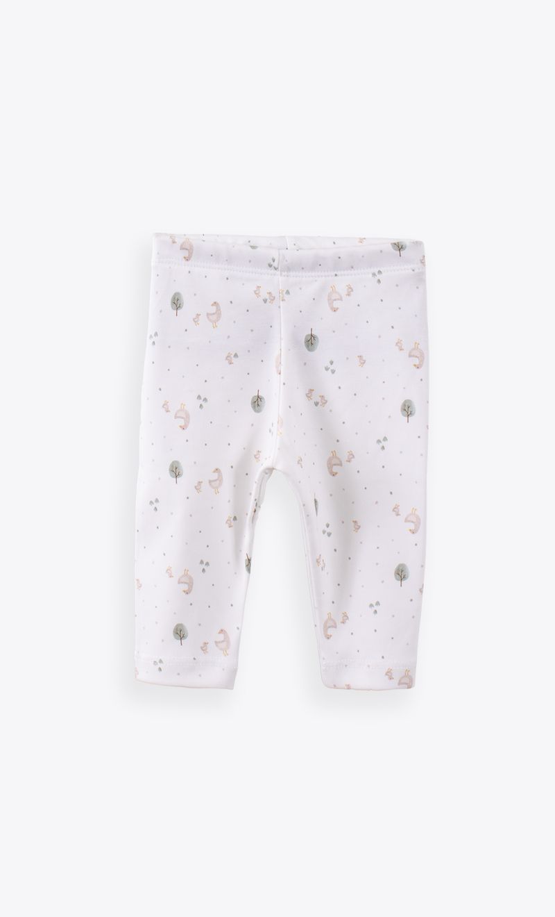 Mimo_I26M94022C_2C_5