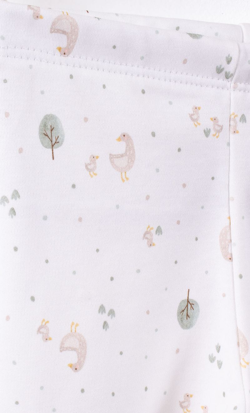 Mimo_I26M94022C_2C_6