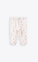 Mimo_I26M22032C_2C_1