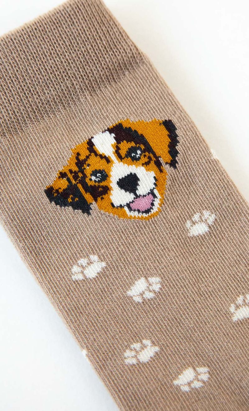 Mimo_I26Q30065B_5B_2