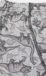 PACK-BOXER-DINOS