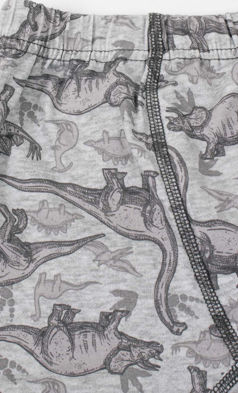 PACK-BOXER-DINOS