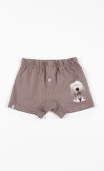 BOXER-GUAU