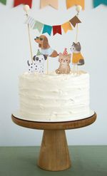 KIT-MIMO-PERRITOS-Y-GATITOS