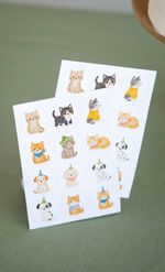 KIT-BONETES-MIMO-PERRITOS-Y-GATITOS